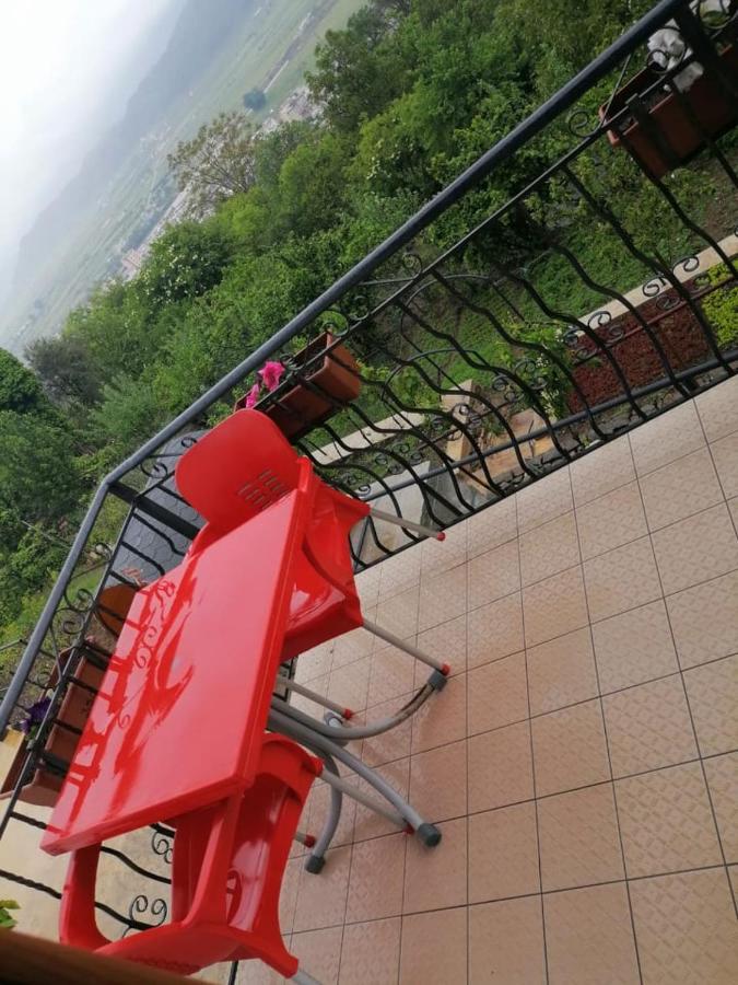 Bixhaku Guesthouse Gjirokastër Buitenkant foto